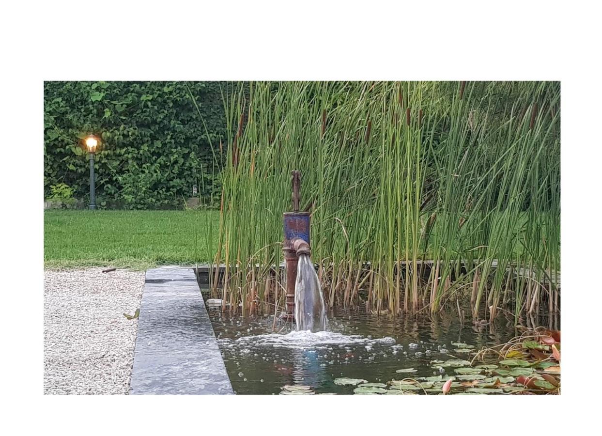 La Maison D Alys Cabannes Esterno foto